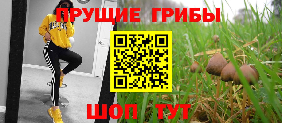 Елец  Псилоцибиновые грибы Psilocybine cubensis  Вход с VPN 