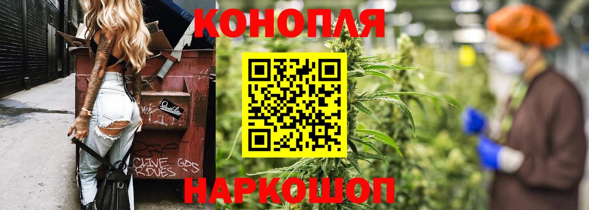 Бошки марихуана семена  Вход с VPN  Канабис SATIVA & INDICA  Елец 